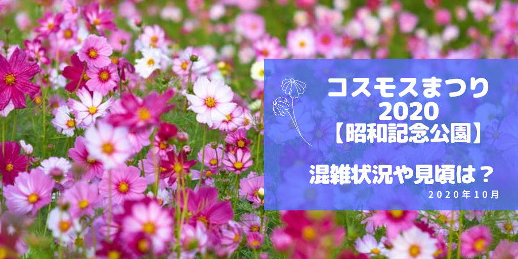 コスモスまつり昭和記念公園の見頃や混雑状況 ペットは 徒然日記